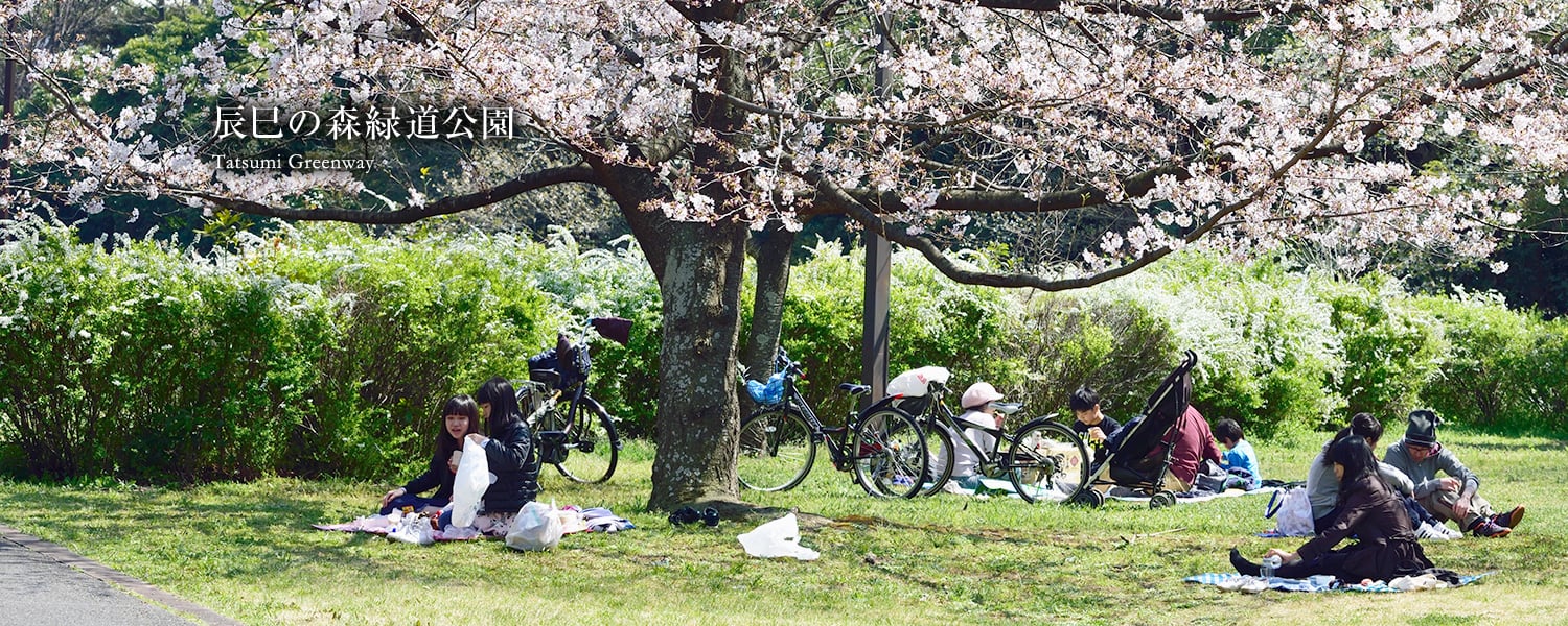 辰巳の森緑道公園